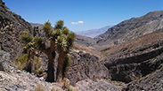 View Down Canyon from Bypass Climb