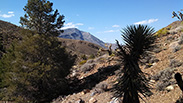 View Up Canyon on Return Hike