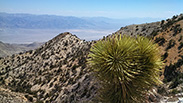 View from White Top Hike