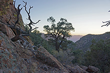 Looking West from Hike