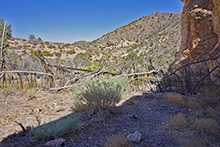 Corral near Strozzi Ranch