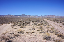 Dust Devil Crossing Road