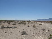 Funeral Mountains from Amargosa Desert