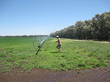 Sprinkler Action