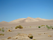 Big Dune